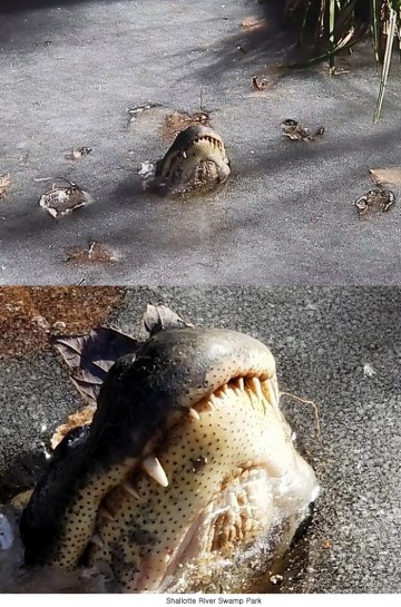 팝뉴스 제공